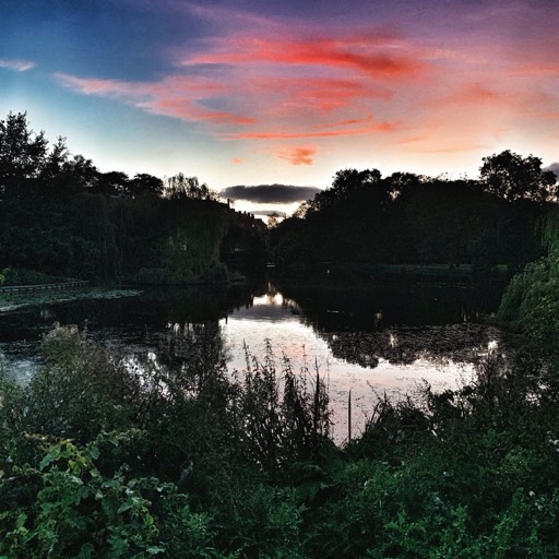 Sunset at Vondelpark (shot on iPhone), Amsterdam, NL 2019 © andreas rieger