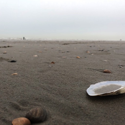 Beach (shot on iPhone), Velsen-Noord, NL 2018 © andreas rieger